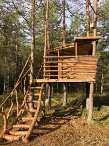 Fotografie z fotogalerie ubytování Timber cottages with jacuzzi and sauna near lake Vänern v destinaci Karlstad