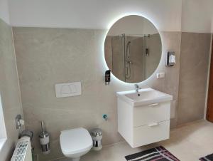 bagno con servizi igienici, lavandino e specchio di Ferienwohnung Rustica a Wernigerode