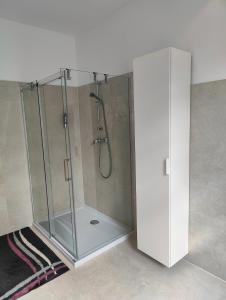 y baño con ducha y puerta de cristal. en Ferienwohnung Rustica, en Wernigerode