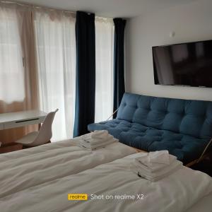 - une chambre avec un canapé bleu et une télévision dans l'établissement Herberge Balmweid 1, à Meiringen