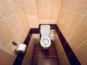 Kúpeľňa v ubytovaní Apartmán Pod fontánou