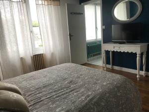 ein Schlafzimmer mit einem Bett, einem Fernseher und einem Spiegel in der Unterkunft Jolie Chambre proche Centre Ville de Rennes in Rennes + 2 Fotos