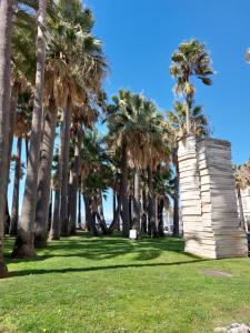 Ogród w obiekcie In the hart of old Cannes - Place du Suquet - 2 Min Walking distance from Palais de Festivals and Beaches