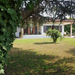 une maison blanche avec un arbre dans la cour dans l'établissement B & B Cedro Argentato, à Legnago
