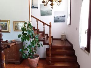 una scala in una casa con una pianta in vaso di B & B Cedro Argentato a Legnago