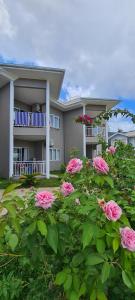 Zahrada ubytování Harmony Self-Catering Apartments