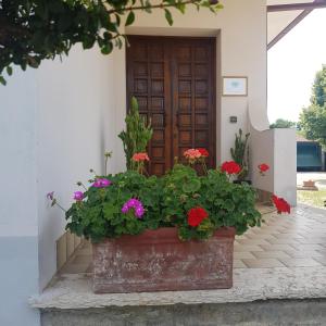 un vaso di fiori davanti a una porta di B & B Cedro Argentato a Legnago