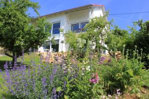 Afbeelding uit fotogalerij van Hotel Haus Kallenberg in Herbrechtingen