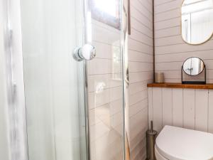 a bathroom with a toilet and a shower at Fern in Bude