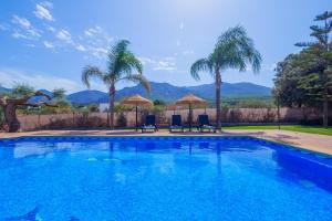 a swimming pool with two chairs and palm trees at Cubo's Finca Los Acebuches in Alhaurín el Grande
