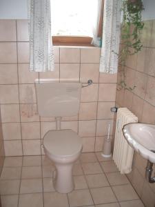 La salle de bains est pourvue de toilettes, d'un lavabo et d'une fenêtre. dans l'établissement 110 qm Ferienwohnung Haus Renn, à Bischofswiesen