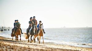 Επισκέπτες που μένουν στο Sandpiper - Suffolk Coastal Escapes