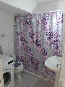 a bathroom with a shower curtain and a washing machine at Sitia Holidays 2 in Sitia