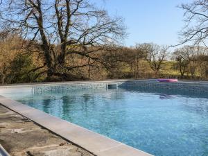 a swimming pool with a pink frisbee in it at Batts Barn in Edenbridge