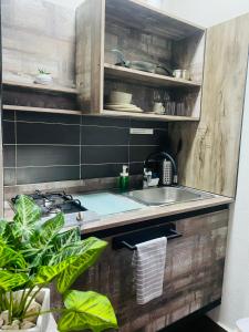 a kitchen with a sink and a counter with plants at OB Studios in Santo Domingo