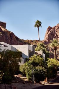 斯科茨代爾的住宿－Sanctuary Camelback Mountain, A Gurney's Resort and Spa，山前有棕榈树的建筑