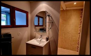 a bathroom with a sink and a shower and a mirror at Ours-Les Jardins de Kuz in Bernin