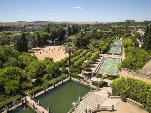 una vista aérea de un parque con un estanque en Panorama Córdoba Center, baño compartido en Córdoba