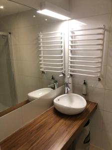 a bathroom with a sink and a mirror at Apartament studio Czarna Góra II in Sienna +36 photos