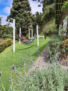 un giardino con amaca in un cortile di Casa de Campos Capivari House a Campos do Jordão