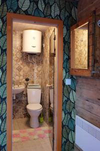 La salle de bains est pourvue de toilettes et d'un lavabo. dans l'établissement Ennu’s hut, à Loksa