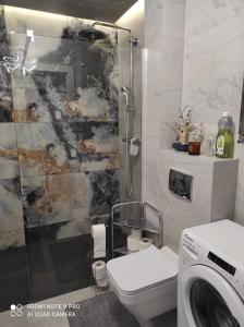 La salle de bains est pourvue d'une douche et d'un lave-linge. dans l'établissement Apartament na Wzgórzu Niebieski, à Łańcut
