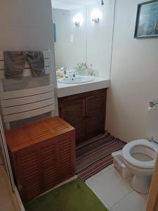 bagno con servizi igienici e lavandino di Appartement atypique centre ville Thuir a Thuir