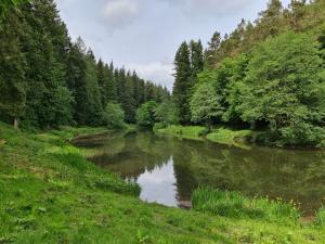 a river in the middle of a field with trees at Brewery Lodge in Lydney