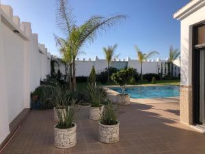 un patio con palmeras y una piscina en villa blanche tifnit, en Tifnit
