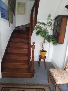 eine Treppe in einem Haus mit einer Pflanze in der Unterkunft chambre chez l'habitant, axe A62, à 20 min d' ouest d'Agen, parking gratuit, accès cuisine, convivial in Port-Sainte-Marie