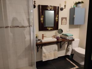 a bathroom with a sink and a shower at Las Tres Herraduras in Artazu