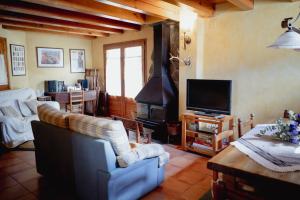 sala de estar con sofá y chimenea en El Xalet de la Vall de Cardós, en Lladrós