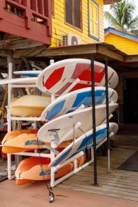 Fotografie z fotogalerie ubytování Divers Paradise Boutique Hotel v destinaci Bocas del Toro