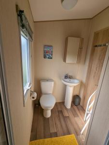 een kleine badkamer met een toilet en een wastafel bij The Jones's Family Caravan with private decking - Presthaven in Prestatyn