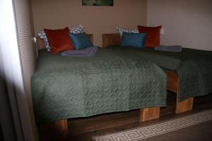 łóżko z zieloną kołdrą i kolorowymi poduszkami w obiekcie Ferienhaus Luci w mieście Quedlinburg