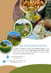 a page of a website with three pictures of flowers at Masnec Tourist Farm in Miljana