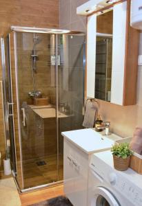 een douche met een glazen deur in de badkamer bij Apartment Ela in Subotica