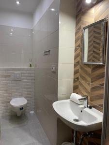 La salle de bains est pourvue d'un lavabo et de toilettes. dans l'établissement Kovács Apartmanház, à Kiskunhalas