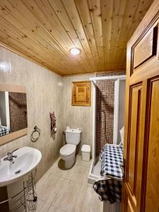 a bathroom with a sink and a toilet and a mirror at Casa Rural Campanilla in Riópar