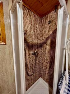 eine Dusche im Bad mit einer gefliesten Wand in der Unterkunft Casa Rural Campanilla in Riópar