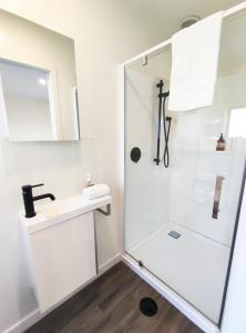 La salle de bains est pourvue d'une douche et d'un lavabo. dans l'établissement Antair Lakeview Lodge, à Lac Tekapo