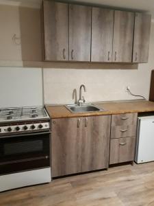 a kitchen with a sink and a stove at Apartment in the city center in Tbilisi City