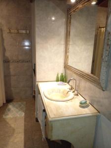 ein Bad mit einem Waschbecken, einem Spiegel und einer Dusche in der Unterkunft Casa de Campo - Los Colibríes in Torres