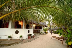 een gebouw met een palmboom ervoor bij Kipepeo Lodge Zanzibar in Jambiani