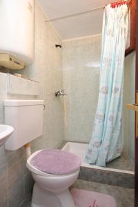 a bathroom with a toilet and a shower curtain at Apartment Stivan 382c in Štivan
