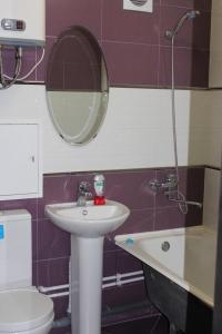 ノヴォシビルスクにあるApartamenty Svetlica Koshurnikova 5のバスルーム(洗面台、鏡、トイレ付)