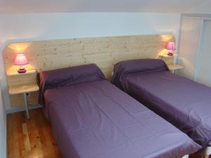 Pontonx-sur-lʼAdourLes Gîtes Malidri的卧室内的两张床,配有紫色床单和灯具