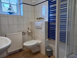 een kleine badkamer met een toilet en een wastafel bij Ferienwohung Charlotte in Usedom Town