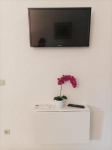 TV a/nebo společenská místnost v ubytování Lina at the best
