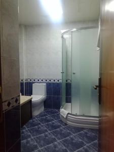 Koupelna v ubytování Shindan Hotel Astara